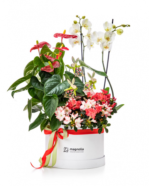 3 idei de aranjamente florale pentru Paște – imaginea 14