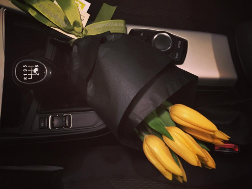 Cum să transporți florile cu mașina în condiții optime – imaginea 1