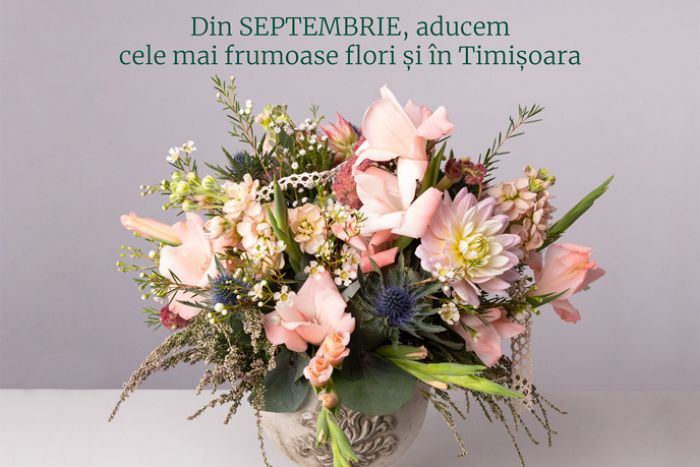 Magnolia deschide o nouă florărie în Timișoara