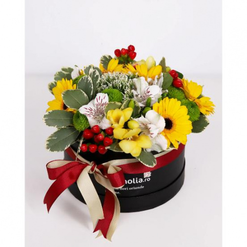 Florile Magnolia, acum și pe Austral Trade – imaginea 1