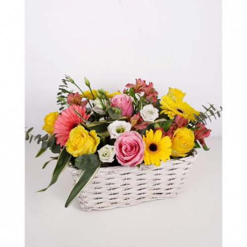 Florile Magnolia, acum și pe Austral Trade – imaginea 2