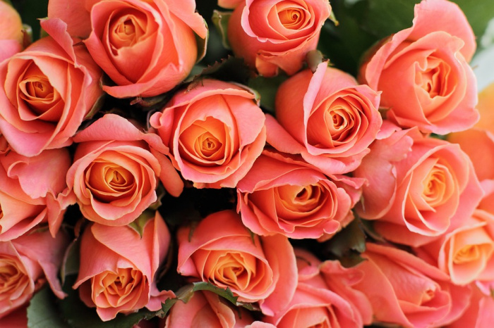 Culoarea anului 2019 în arta florală