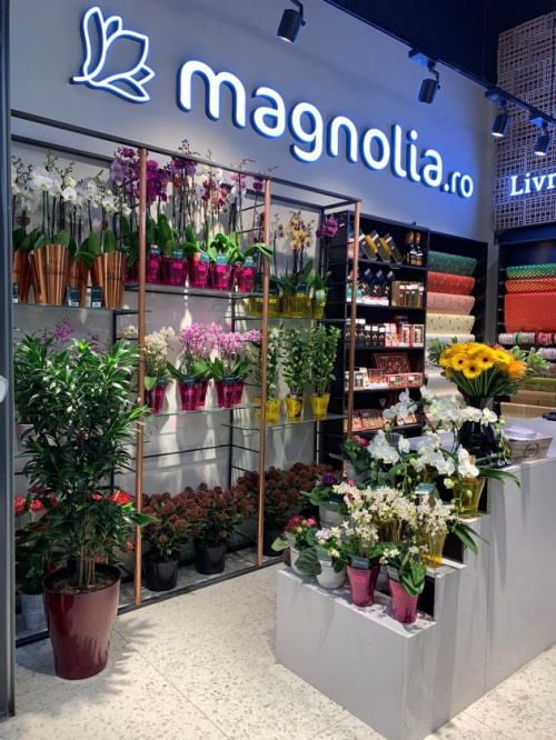 Florăria Magnolia, acum și în Sibiu! – imaginea 1