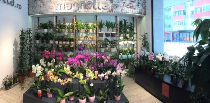 Ce se va întâmpla cu florăriile Magnolia din București după ridicarea stării de urgență