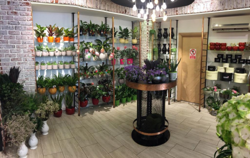 Ce se va întâmpla cu florăriile Magnolia din București după ridicarea stării de urgență – imaginea 1