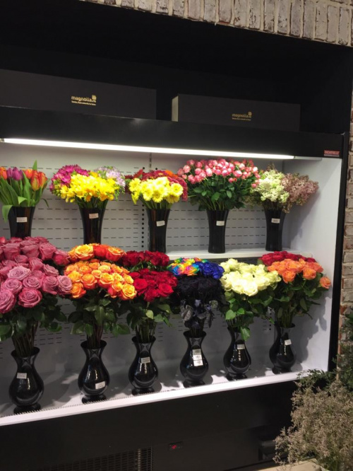 Ce se va întâmpla cu florăriile Magnolia din București după ridicarea stării de urgență – imaginea 2