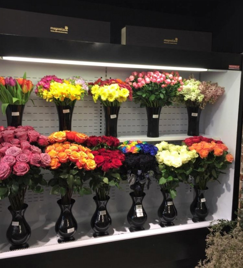 Ce se va întâmpla cu florăriile Magnolia din București după ridicarea stării de urgență – imaginea 3