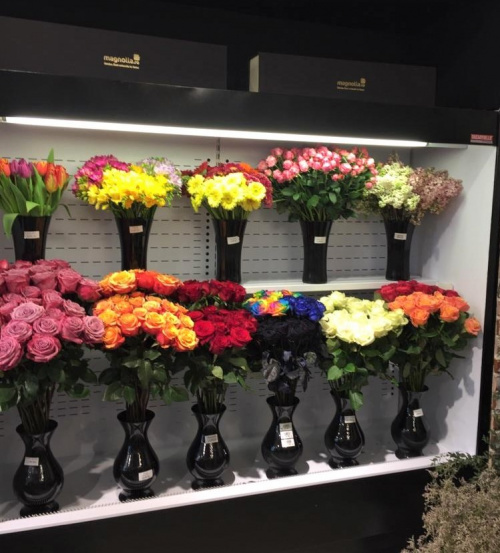 Ce se va întâmpla cu florăriile Magnolia din București după ridicarea stării de urgență – imaginea 3