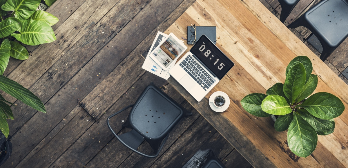 Plante de birou care sporesc productivitatea