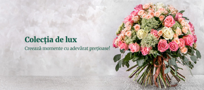 Cui și în ce situații să oferi flori de lux. 6 recomandări de buchete și aranjamente Magnolia pentru un gest memorabil