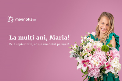 Sfanta Maria 8 septembrie