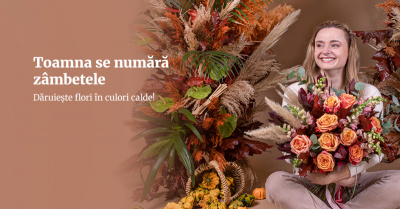 Cele mai frumoase flori de toamna. Le poti pune intr-un buchet si darui cuiva drag!