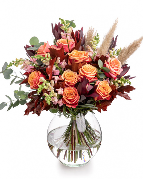 Cele mai frumoase flori de toamna. Le poti pune intr-un buchet si darui cuiva drag! – imaginea 4
