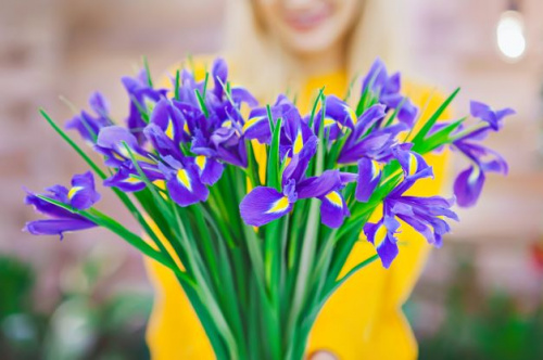 Floarea de iris – legenda, semnificatie, ingrijire si idei de buchete pentru cei dragi – imaginea 1