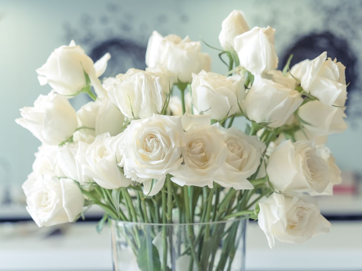 Ce înseamnă când visezi flori - semnele bune și mai puțin plăcute pe care le pot avea florile atunci când apar în vis Ce înseamnă când visezi flori - semnele bune și mai puțin plăcute pe care le pot avea florile atunci când apar în vis