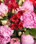 Pink Peony Bouquet and Mozart Chocolate