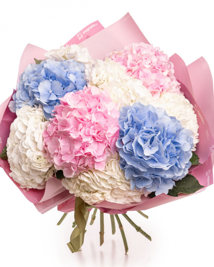 Buchet cu hortensii pastelate – imaginea 2