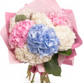 Buchet cu hortensii pastelate