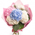 Buchet cu hortensii pastelate
