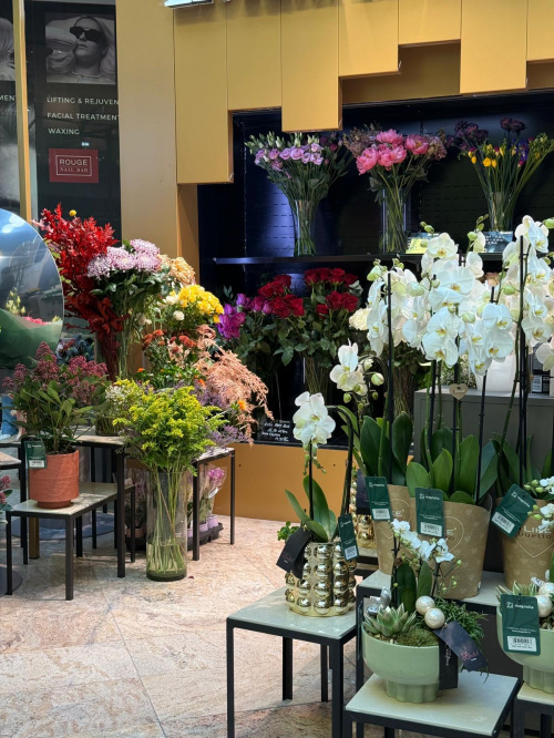 Băneasa Shopping City București – imaginea 4