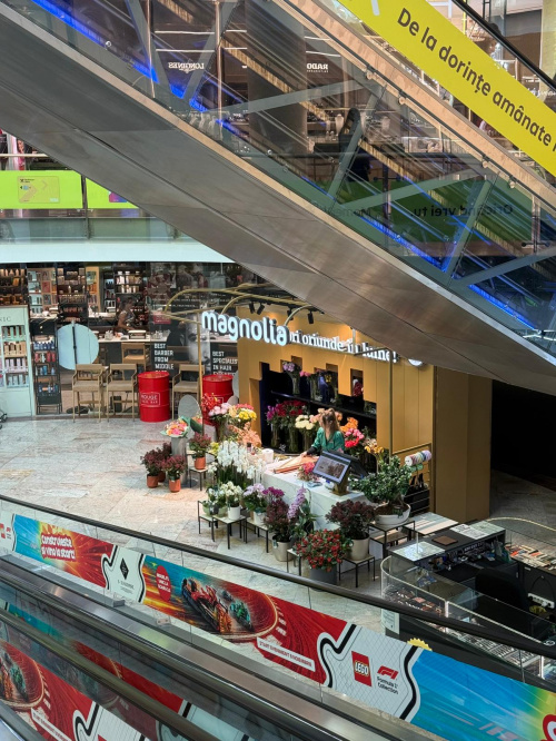 Băneasa Shopping City București – imaginea 2