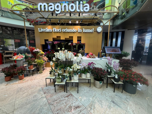 Băneasa Shopping City București – imaginea 1