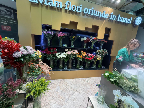 Băneasa Shopping City București – imaginea 3