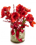 Buchet Amaryllis în vază de sticlă – imaginea 1