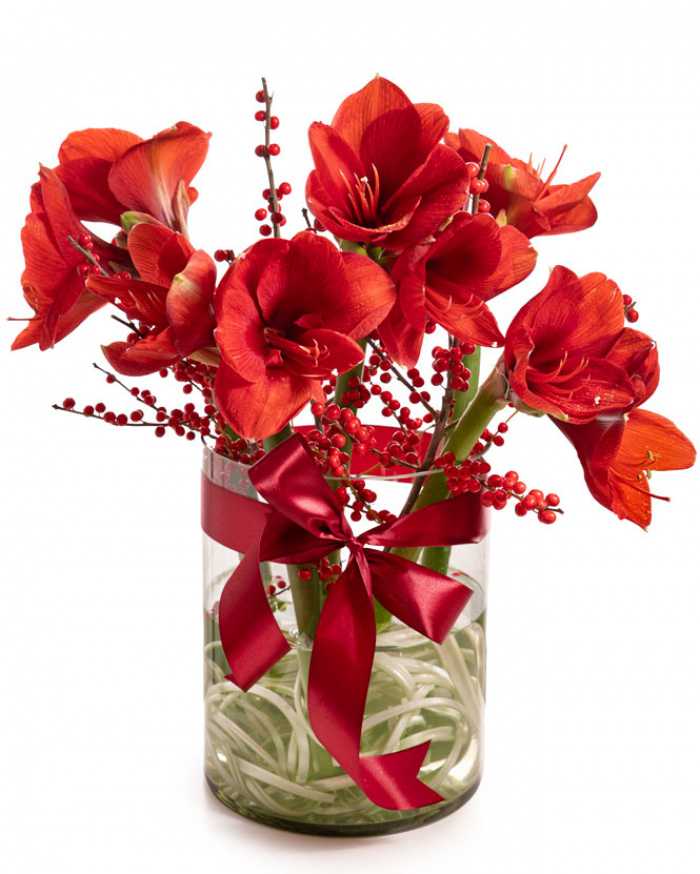 Buchet Amaryllis în vază de sticlă – imaginea 1