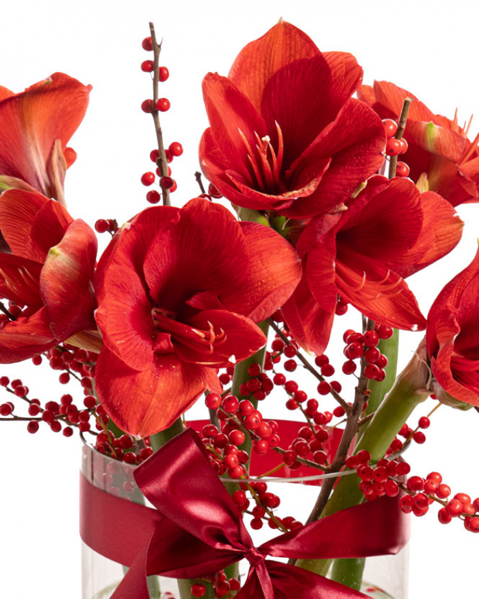 Buchet Amaryllis în vază de sticlă