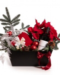 Christmas Joy – imaginea 1