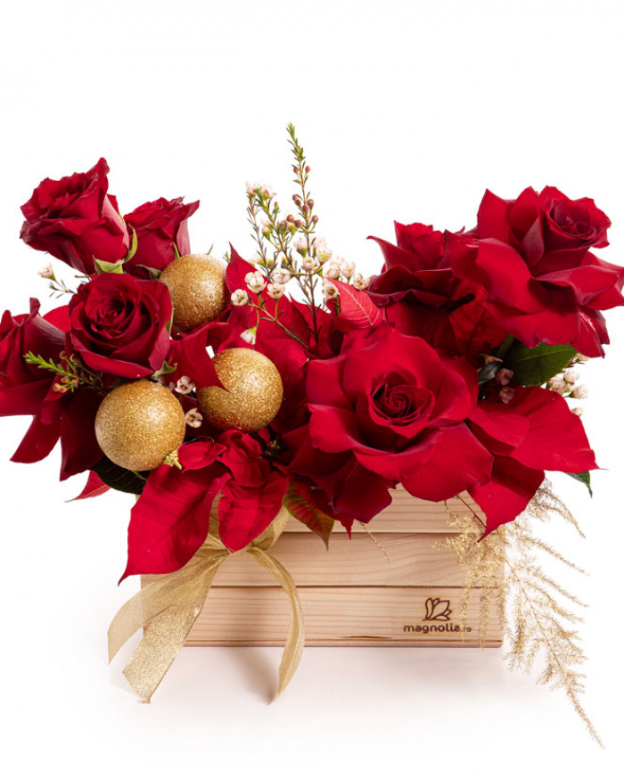 Aranjament floral „Vis de iarnă” – imaginea 1