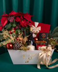 Gift from Santa – imaginea 3