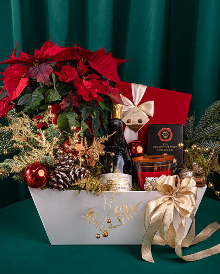 Gift from Santa – imaginea 3