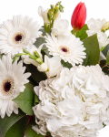 Bouquet of fresias tulips and gerberas – the image 2
