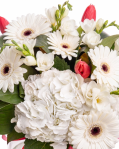 Bouquet of fresias tulips and gerberas – imaginea 2