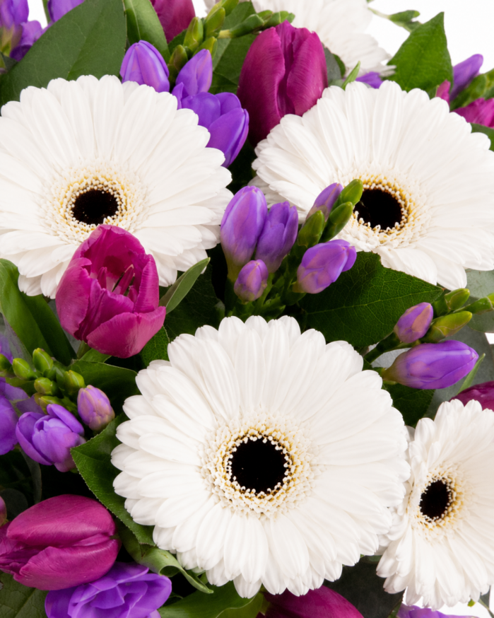Buchet cu lalele si gerbera – imaginea 2