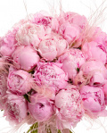 Buchet cu Bujori roz „Soft Romance” – imaginea 3