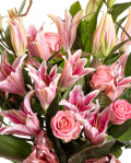 Prim-plan al florilor din buchetul “Buchet trandafiri si crini roz”, varianta Premium, evidentiind combinatia armonioasa de 7 crini orientali roz, 8 trandafiri roz, 3 ramuri de corylus, completate de 12 frunze de aspidistra si finisate cu 2 ambalaje decorative elegante.