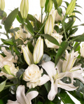 Prim-plan al florilor din buchetul 'Buchet elegant de crini si trandafiri', varianta Premium, evidentiind combinatia armonioasa de 7 crini orientali si 9 trandafiri albi, completate de 5 frunze de monstera, 5 crengute de eucalipt si 7 crengute de ruscus mare si finisate cu o panglica eleganta.