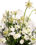 Prim-plan al florilor din buchetul "Buchet garoafe si eustoma", varianta Premium, evidentiind combinatia armonioasa de 6 fire de ornitogalum, 4 fire de eustoma alb, 11 garoafe verzi, completate de 4 fire de ruscus mic si finisate cu ambalaj decorativ si o panglica inscriptionata eleganta.