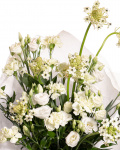 Prim-plan al florilor din buchetul "Buchet garoafe si eustoma", varianta Premium, evidentiind combinatia armonioasa de 6 fire de ornitogalum, 4 fire de eustoma alb, 11 garoafe verzi, completate de 4 fire de ruscus mic si finisate cu ambalaj decorativ si o panglica inscriptionata eleganta.