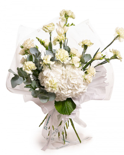 Imagine de ansamblu a buchetului “Buchet cu flori albe și verzi”, varianta Premium, realizat din 1 Hydrangea albă, 3 Frezii albe, 10 Garoafe verzi, 3 Trandafiri ramificați albi și 2 crenguțe de Eucalipt, completat cu un ambalaj decorativ și o panglică inscripționată Magnolia.