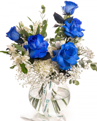 Imagine de ansamblu a buchetului “Buchet cu Trandafiri albaștri „Blue Grace””, varianta Premium, realizat din 5 Trandafiri albaștri, 1 Hydrangea albă, 1 fir de Eustoma alb, 2 fire de Alstroemeria și 3 fire de Gypshopila, completat cu 1 crenguță de Eucalipt și finisat cu 1 panglică Magnolia.
