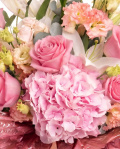 Prim-plan al florilor din buchetul “Buchet de flori „Bucurie de vară"”, varianta Premium, evidențiind combinația armonioasă de 2 Crini imperiali albi, 3 fire de Eustoma somon, 1 Hydrangea roz, 1 fir de Trandafir ramificat roz și 5 Trandafiri roz, completate de crenguțe de Eucalipt și finisate cu o panglică elegantă.
