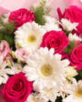 Prim-plan al florilor din buchetul “Buchet crizanteme și gerbera”, varianta Premium, evidențiind combinația armonioasă de 5 trandafiri Pink Floyd, 3 crizanteme albe, 5 gerbere albe, 2 flori de Eustoma pink, completate de 4 fire de Asparagus umbelatus și finisate cu un ambalaj decor și 2 panglici mgn elegante.