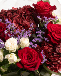 Prim-plan al florilor din buchetul “Buchet cu Trandafiri și Hortensii”, varianta Premium, evidentiind combinatia armonioasa de 5 Trandafiri Freedom, 2 Hortensii bordo, 2 Trandafiri ramificați albi, 1 fir de Limonium, completate de 2 crenguțe de Eucalipt si finisate cu ambalaj decorativ și panglică Magnolia elegante.