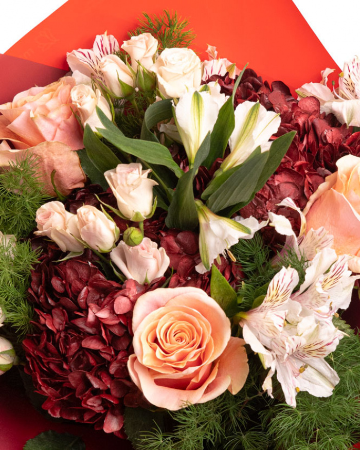 Prim-plan al florilor din buchetul “Buchet cu Hortensii și Trandafiri „Fall Mood””, varianta Premium, evidențiind combinația armonioasă de 3 Trandafiri portocalii, 2 Hortensii bordo, 4 fire de Alstroemeria, 3 Trandafiri ramificați albi, completate de 3 crenguțe de Asparagus umbelatus și finisate cu ambalaj decorativ și o panglică inscripționată Magnolia elegante.