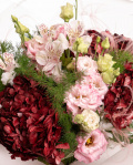 Prim-plan al florilor din buchetul “Buchet cu Hortensii „Fall Elegance””, varianta Premium, evidentiind combinatia armonioasa de 3 Hydrangea bordo, 2 Eustoma roz, 2 Alstroemeria, completate de 4 fire de Asparagus umbelatus, 2 fire de Stypha și finisate cu 1 ambalaj decorativ și 1 panglică inscripționată Magnolia elegante.