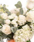 Prim-plan al florilor din buchetul “Buchet clasic cu flori albe”, varianta Premium, evidentiind combinatia armonioasa de 7 Trandafiri albi, 2 Hortensii albe, 2 fire de Ornitogalum, 2 Trandafiri ramificați albi, completate de 4 crenguțe de Eucalipt și finisate cu 1 șirag de perle și 2 panglici neinscripționate elegante.